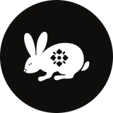 Rabbit - August 2023 Horoscope