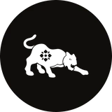 Tiger - December 2022 Horoscope